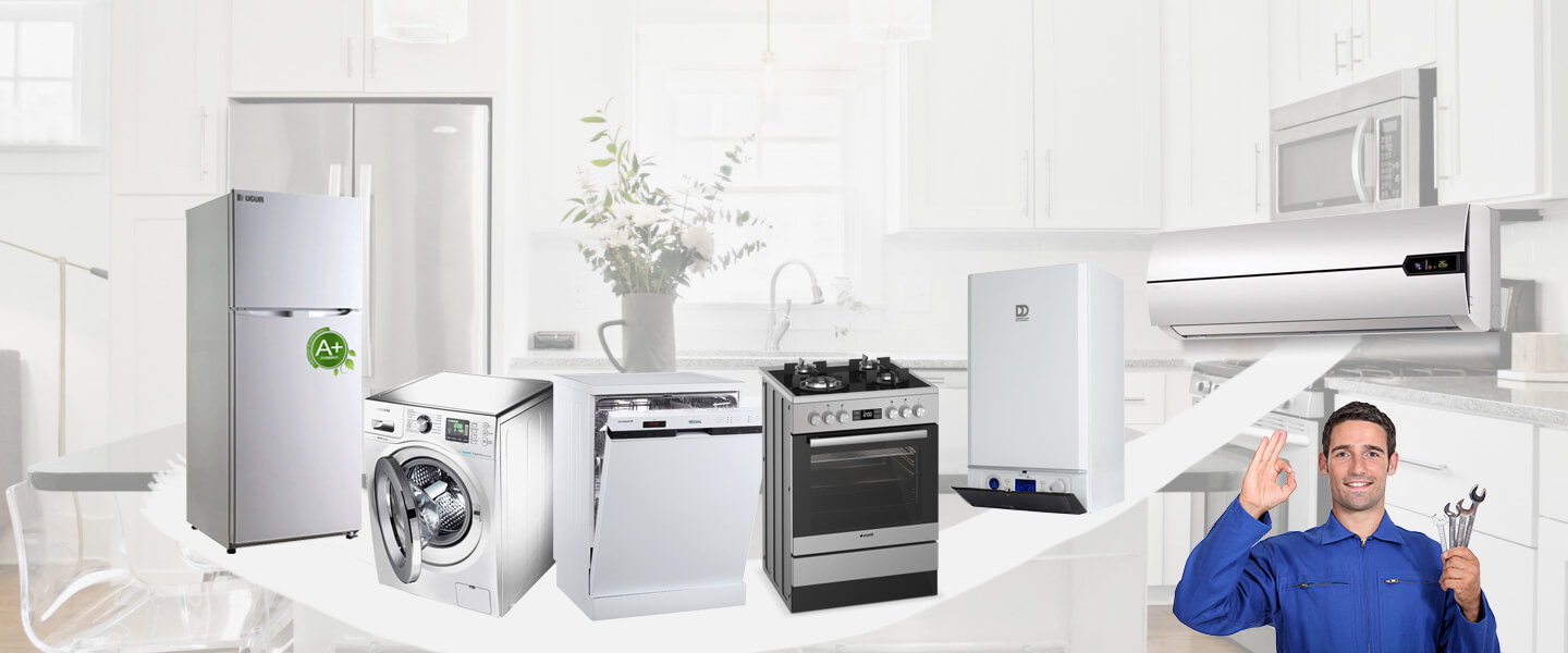 Talas Electrolux Servisi